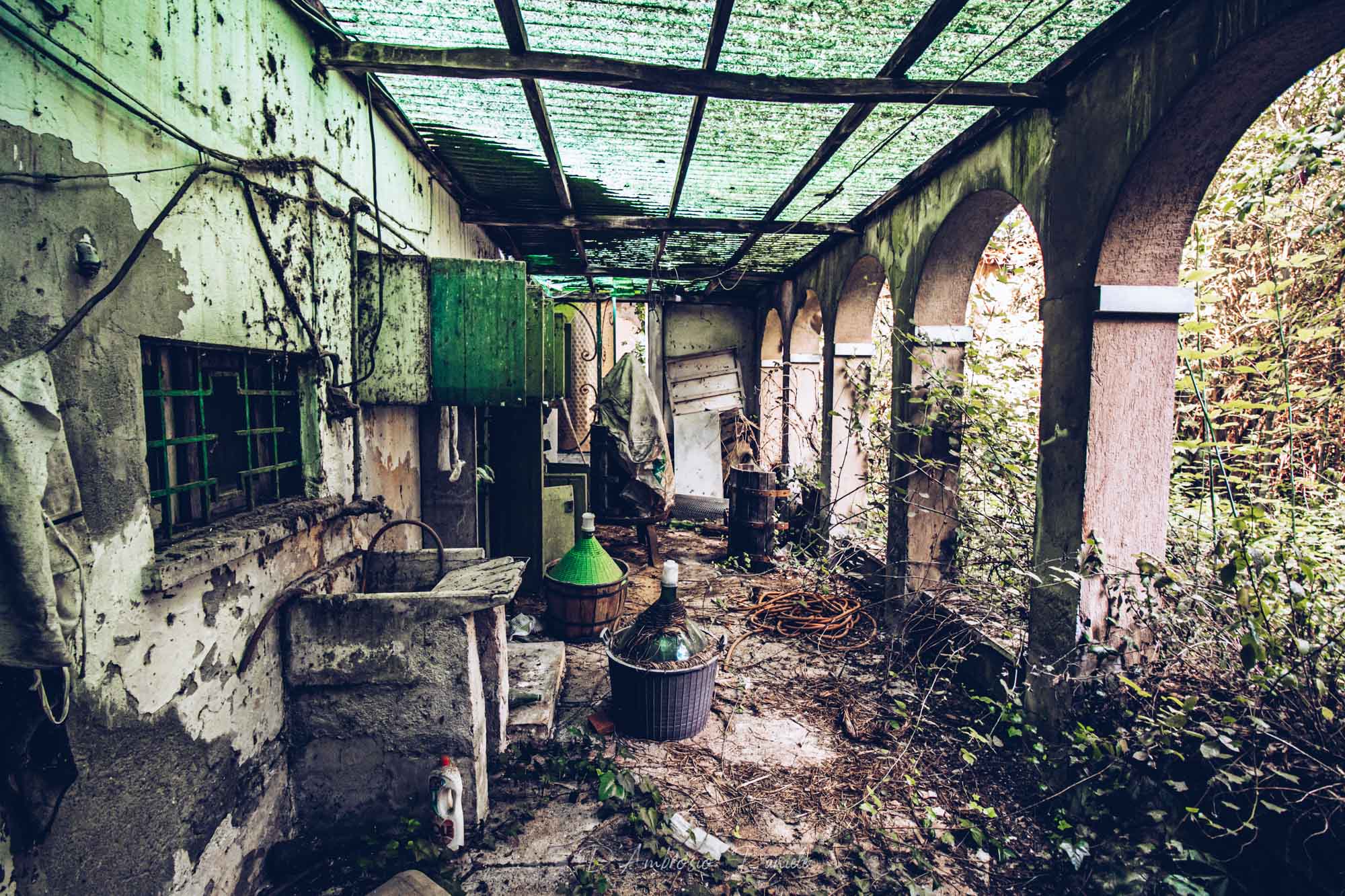 Villa Nobiliare Abbandonata, Interni, UrbeX