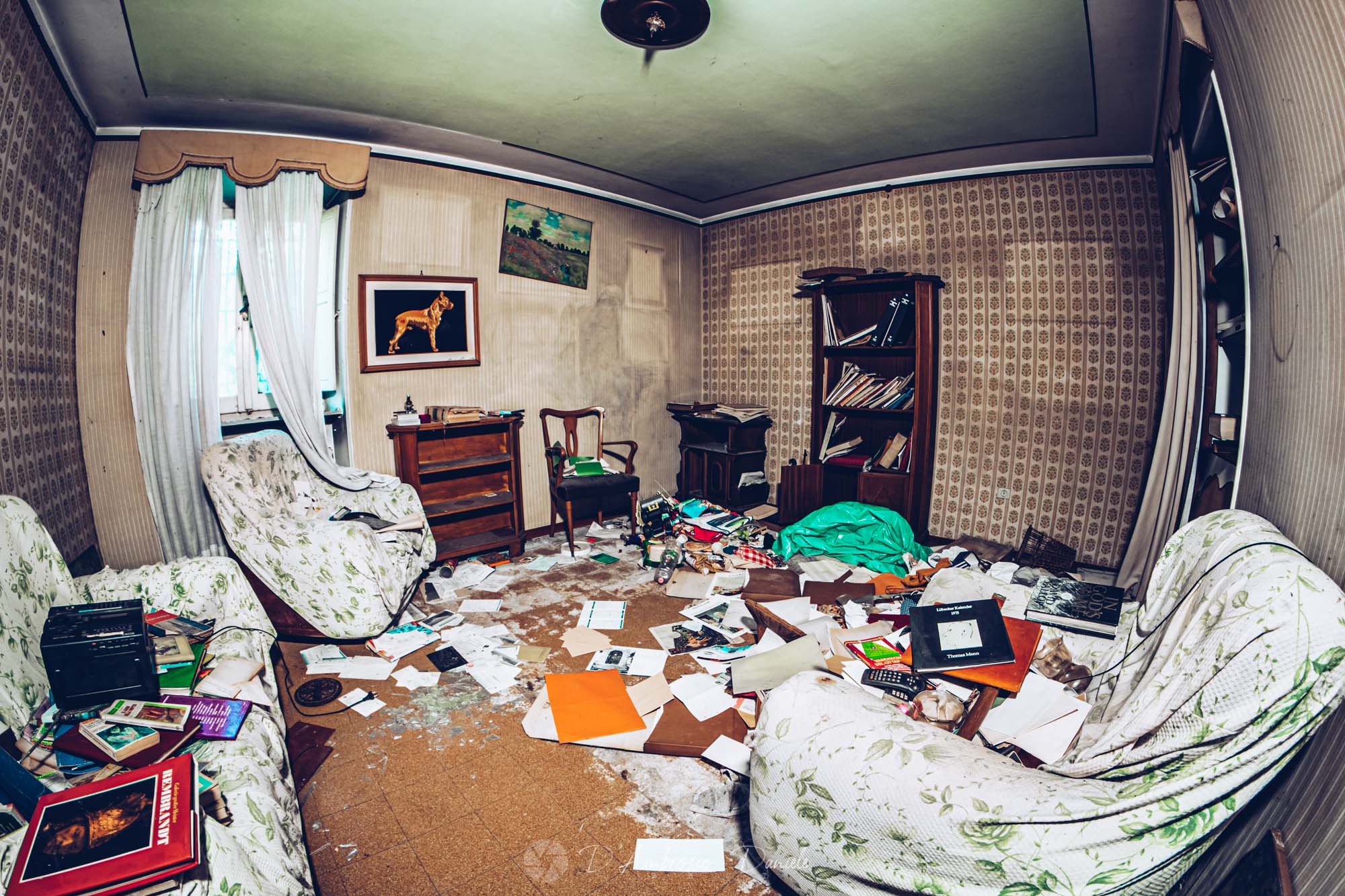 Villa Nobiliare Abbandonata, Interni, UrbeX