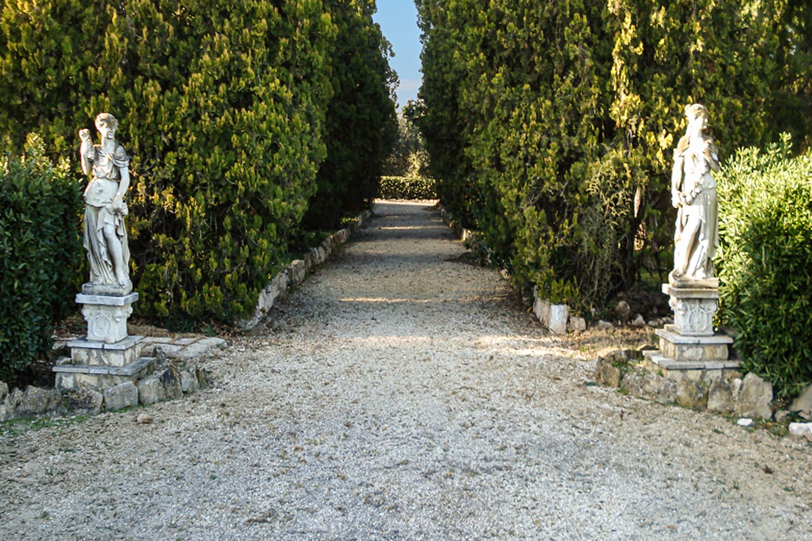 Villa Nobiliare 1980, Giardino, UrbeX