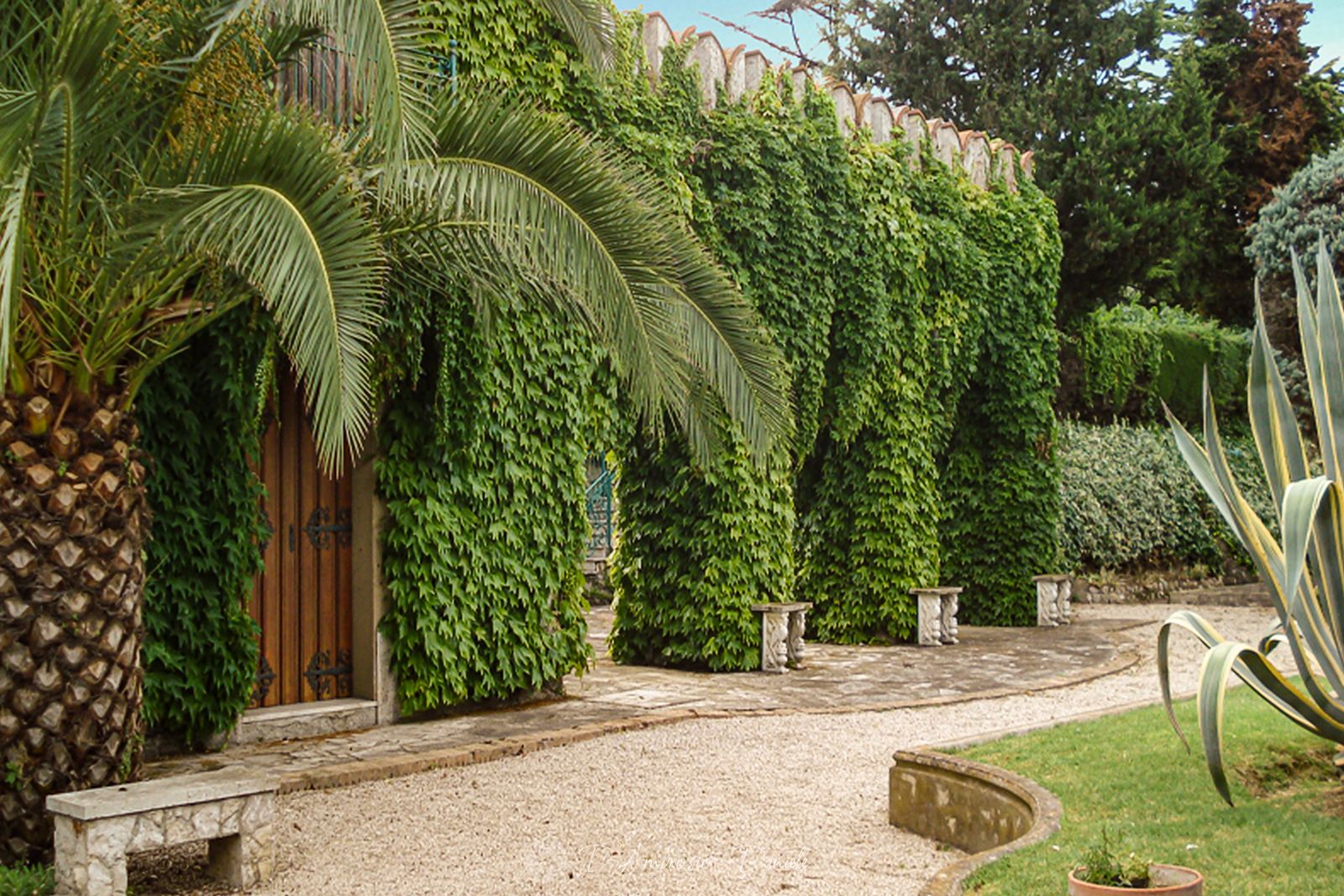 Villa Nobiliare 1980, Giardino, UrbeX